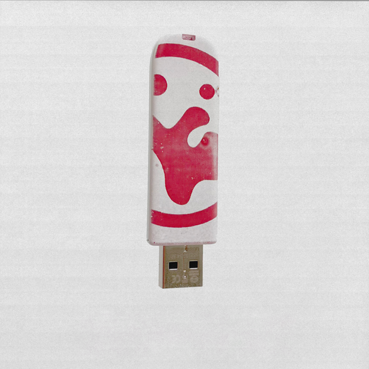 'before the afters' USB